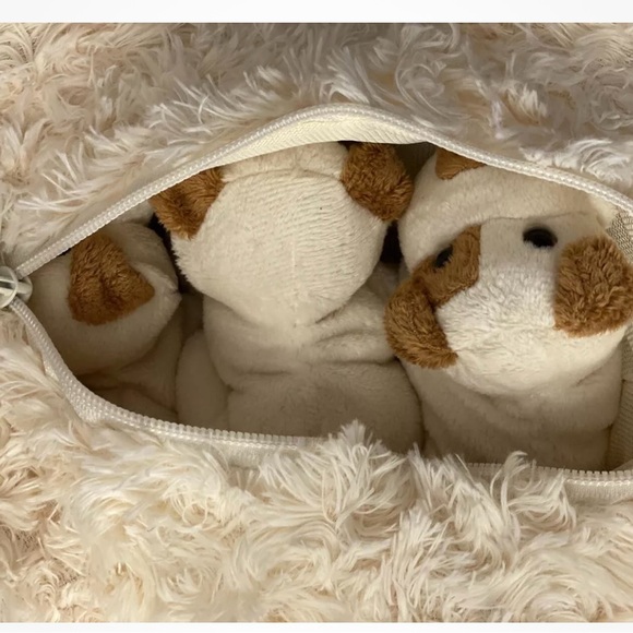 dog with puppies - Picture 3 of 4